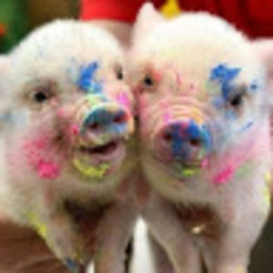 Meet your Posher, Katherine